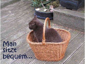 klicke hier, um die Datei herunterzuladen Lissy und der Korb