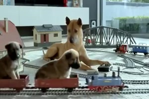 Die moderne Hundefamilie