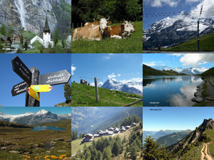 die Bergwelt der Schweiz