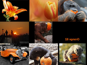 klicke hier, um die Datei herunterzuladen Orange