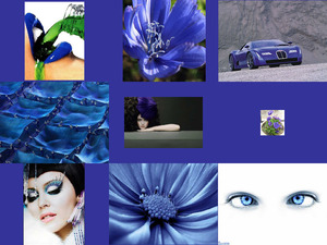 Bilder mit der Farbe blau