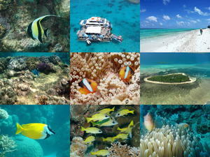 klicke hier, um die Datei herunterzuladen GreatBarrierReef-Australia
