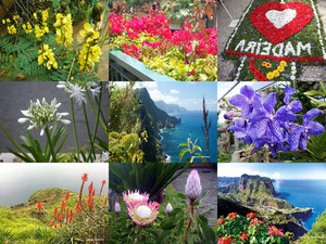 Madeira 2015-1 Teil-D