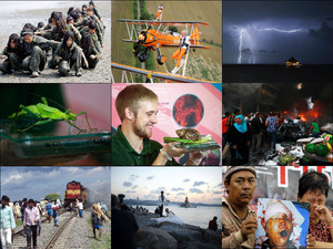 klicke hier, um die Datei herunterzuladen 25 Pressefotos vom 3 bis 17 August 2013