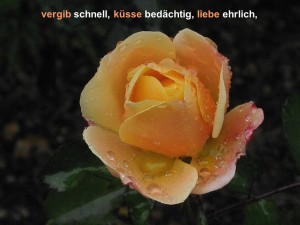 klicke hier, um die Datei herunterzuladen Vergiss nie, dass das Leben kurz ist