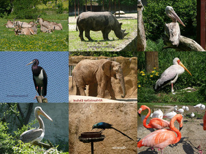 klicke hier, um die Datei herunterzuladen zoo 3 NXPowerLite