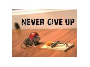 Niemals aufgeben