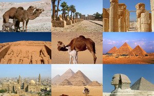 Bilder aus gypten