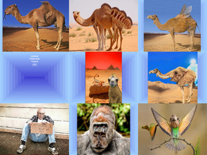klicke hier, um die Datei herunterzuladen Schön makaber Kunst
