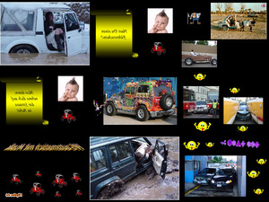Thema Auto und Führerschein