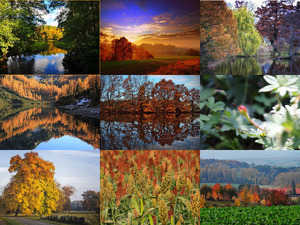 Herbst 2 - Wunderschne Herbsteindrcke