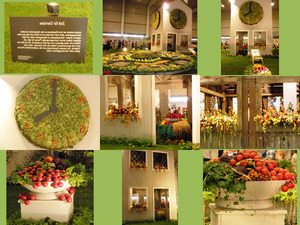 klicke hier, um die Datei herunterzuladen Blumenmesse Tulln5