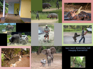 klicke hier, um die Datei herunterzuladen Reise nach Afrika