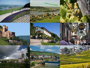 klicke hier, um die Datei herunterzuladen Ruedesheim 1