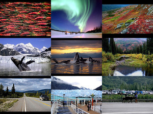 Bilder aus Alaska
