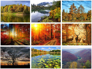 klicke hier, um die Datei herunterzuladen Bilder vom Herbst