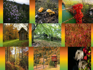 Ein spaziergang durch den Herbst