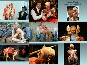 klicke hier, um die Datei herunterzuladen Der Plastinator Erika
