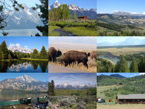 Teton