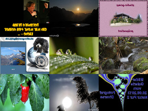 klicke hier, um die Datei herunterzuladen Bilder-Galerie vom 20082013 Natur Pur 2