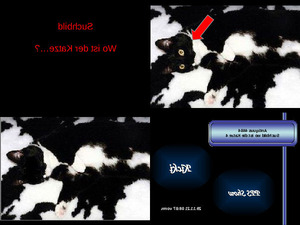 Antiquus 464 - Wo ist die Katze 4