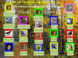 Vogelstimmen