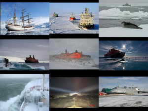 Polar-Reisen