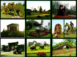 klicke hier, um die Datei herunterzuladen gartenschau China