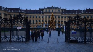 CHRISTMAS VIENNA