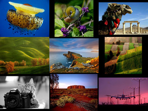 klicke hier, um die Datei herunterzuladen picture mixture 4 - Judy