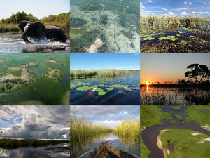 Okavango - Teil 1
