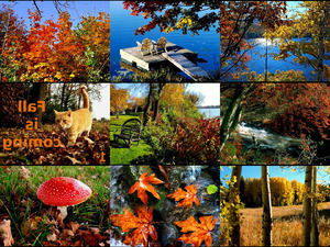 klicke hier, um die Datei herunterzuladen fall is coming gele