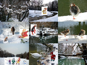 klicke hier, um die Datei herunterzuladen la-beaute-de-l-hiver-charlotte