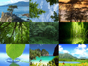 klicke hier, um die Datei herunterzuladen Beautiful nature 55