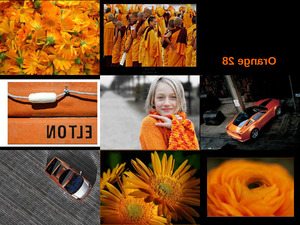 klicke hier, um die Datei herunterzuladen Orange 28