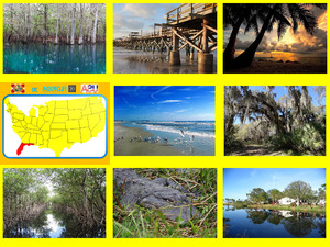 klicke hier, um die Datei herunterzuladen FLORIDA 30