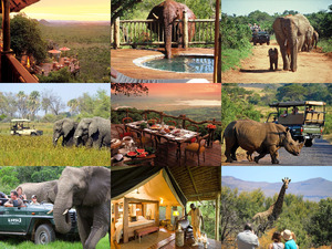 klicke hier, um die Datei herunterzuladen BOTSWANA SAFARI a h11