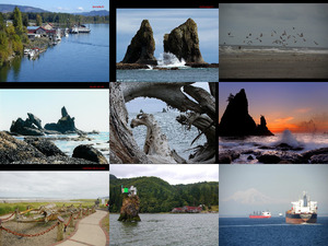 washington state coast