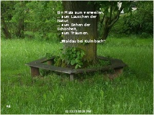 klicke hier, um die Datei herunterzuladen A234 Jesus sagt