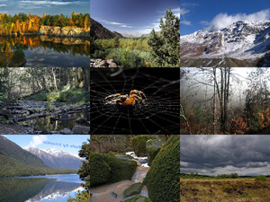 klicke hier, um die Datei herunterzuladen Beautiful Nature 71