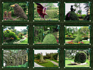 klicke hier, um die Datei herunterzuladen Gartenkunst