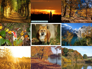 klicke hier, um die Datei herunterzuladen Herbsttage