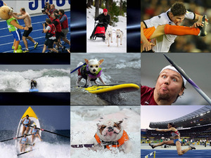 Bilder vom Sport