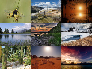 Beautiful-Nature-102.ppsx auf www.funpot.net