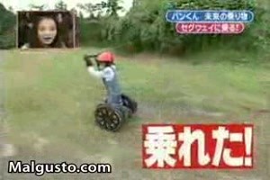 rollender Chimpanse