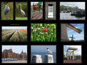 Amsterdam und Umgebung