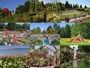 Insel Mainau