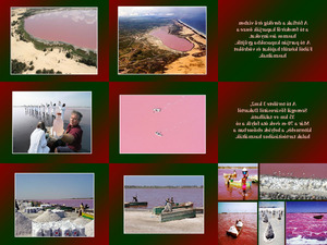 Schtze des Retba See (Senegal)