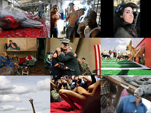 klicke hier, um die Datei herunterzuladen 12 press photos