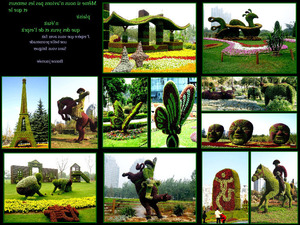 Skulpturen aus Pflanzen